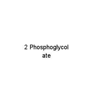 2 Phosphoglycolate